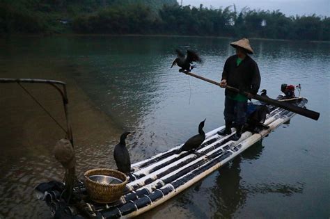 鳥友匯垂釣園怎麼樣？